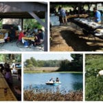 Collage of photos with Engineering Innovation employees outdoors near a lake during the annual company picnic.