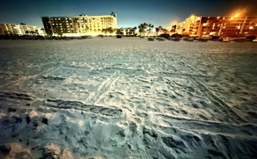 A beach with buildings and trees.