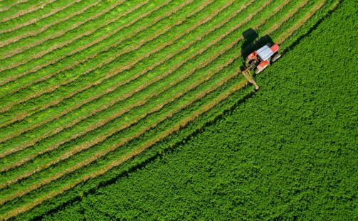 A red tractor mows curved rows in a lush green field, creating neat, parallel lines of cut grass; the photo is taken from above.