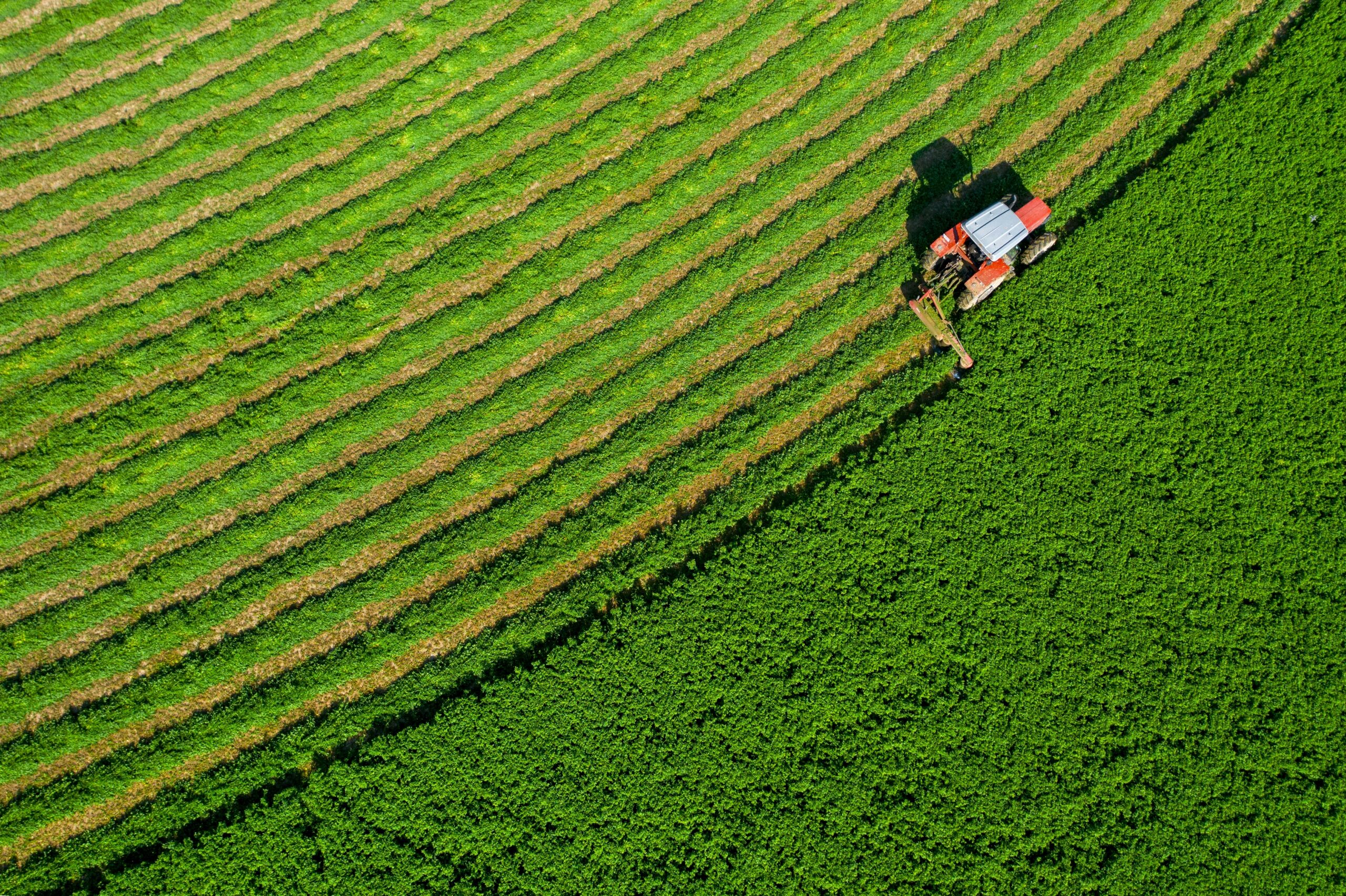 A red tractor mows curved rows in a lush green field, creating neat, parallel lines of cut grass; the photo is taken from above.