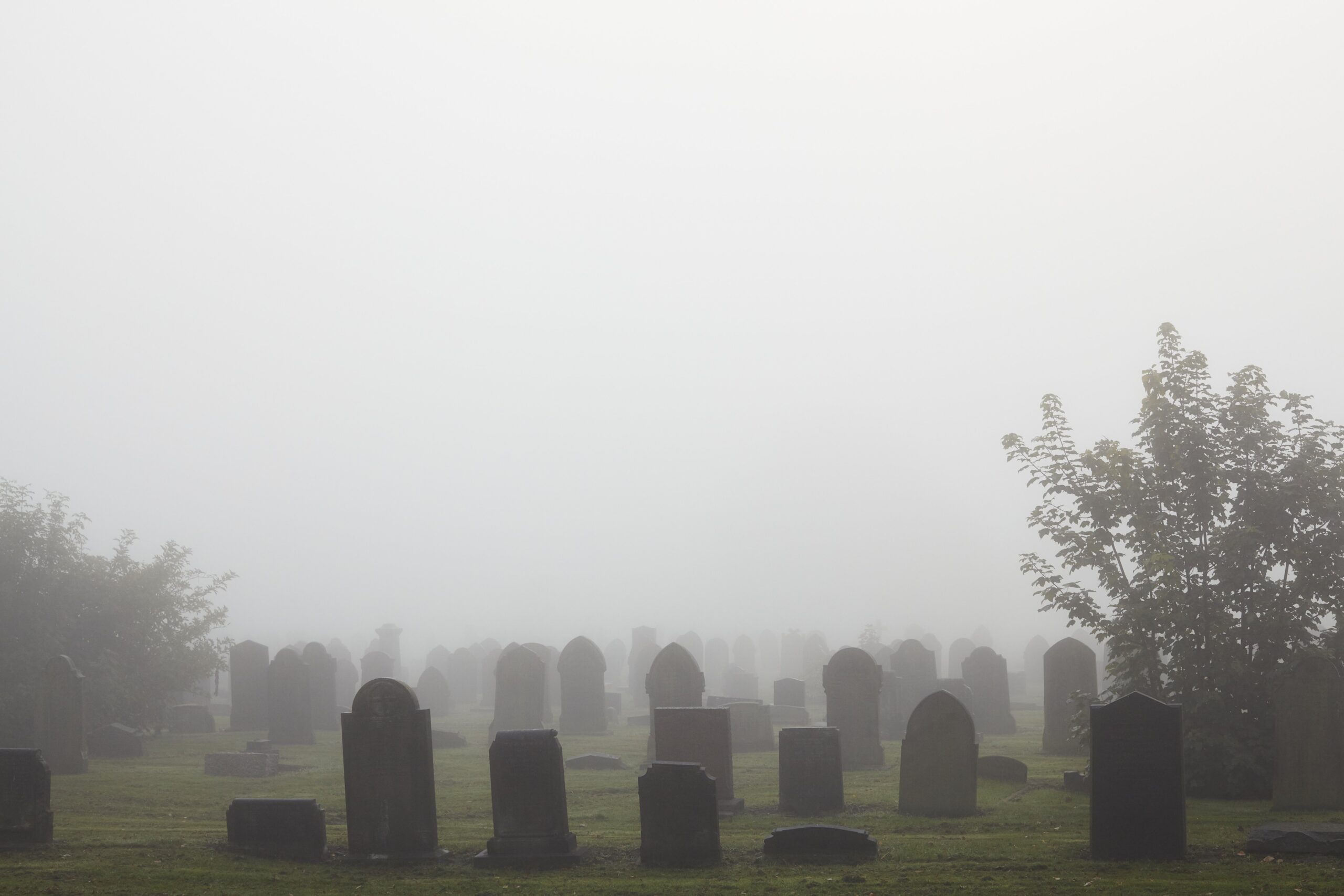 Weathered headstones in a quiet cemetery, representing material handling trends that didn't survive.
